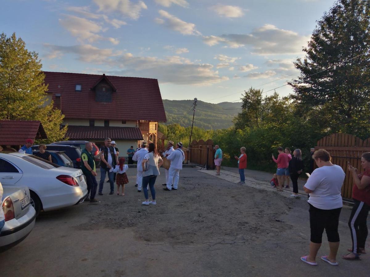 Pensiunea Valea Branzei Nánfalva Kültér fotó
