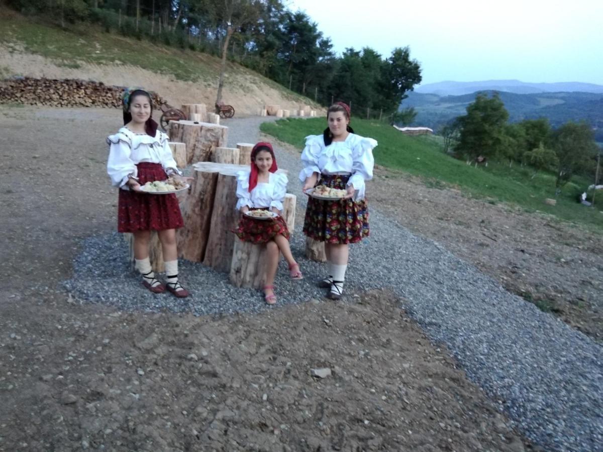 Pensiunea Valea Branzei Nánfalva Kültér fotó