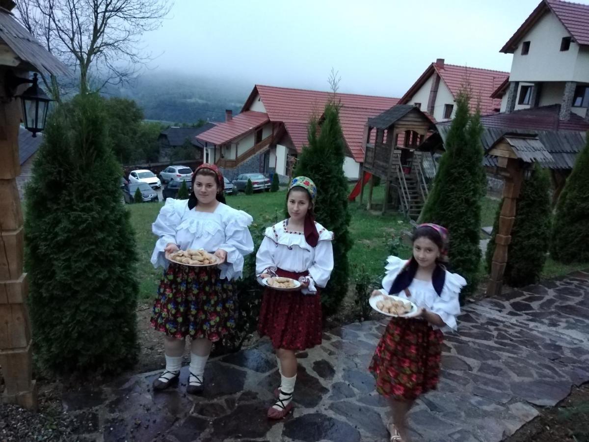 Pensiunea Valea Branzei Nánfalva Kültér fotó