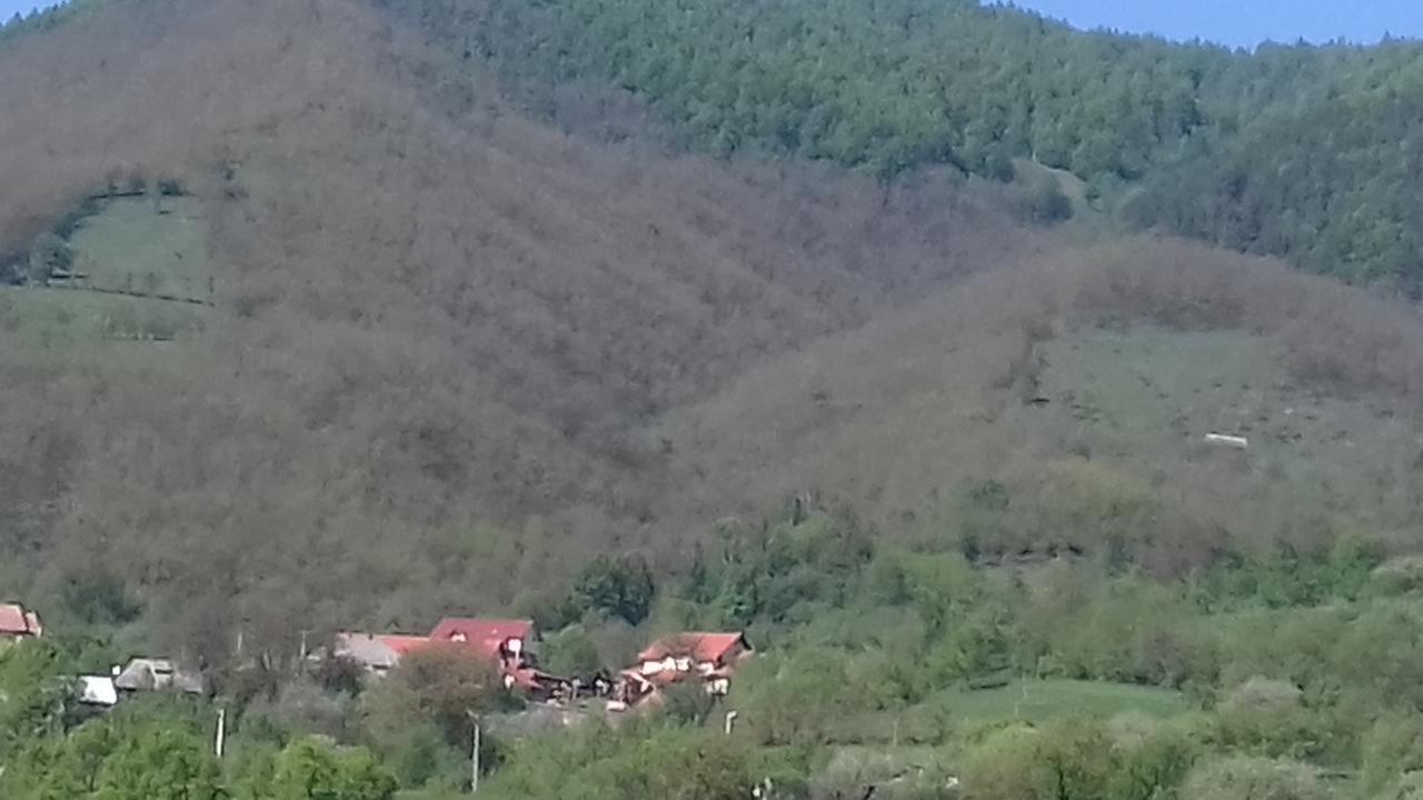 Pensiunea Valea Branzei Nánfalva Kültér fotó