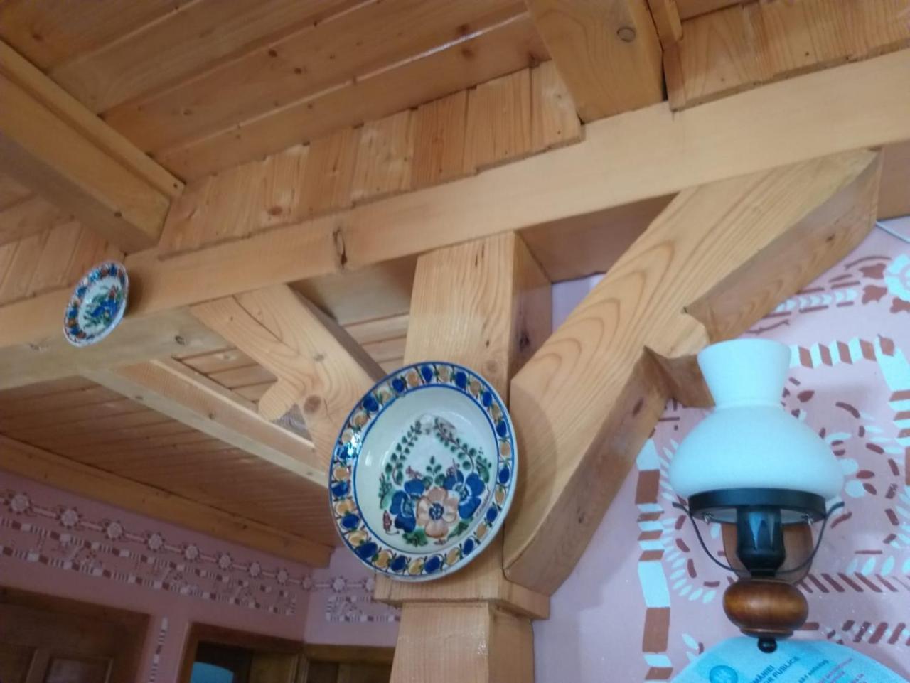 Pensiunea Valea Branzei Nánfalva Kültér fotó